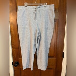 Dalia Womens’s Coastal Blue Drawstring Pocket Striped Pants 16W